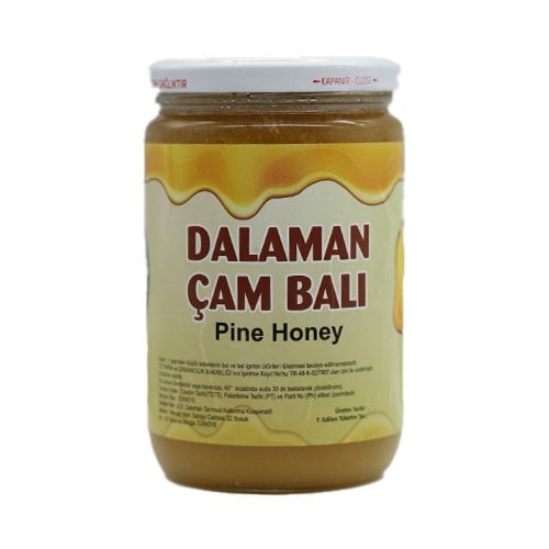 Dalaman Çam Balı 850 gr (Kargo Dahil)